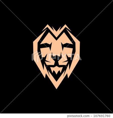 Lion face geometric modern logo Lion face geometric modern logo 107691760