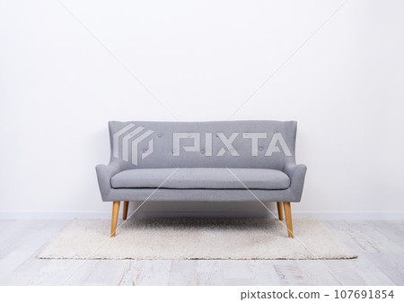 Gray sofa on carpet in light room Gray sofa on carpet in light room 107691854