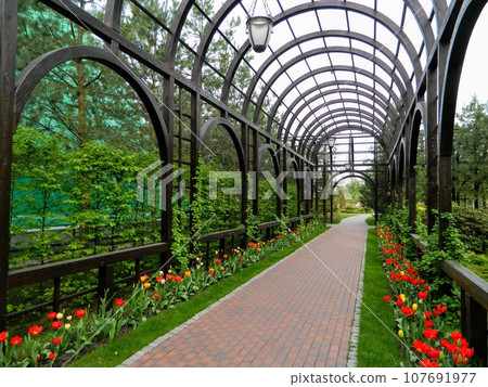 Landscape design. Park architecture. Summer landscape. High quality photo Landscape design. Park architecture. Summer landscape. High quality photo 107691977