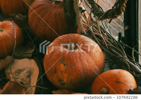 Natural autumn pumpkins set and dry leaves background, selective focus. Natural autumn pumpkins set and dry leaves background, selective focus. 107692286