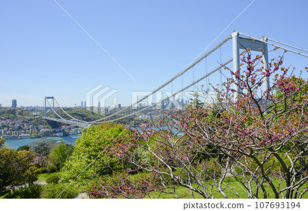 View of Istanbul from Otagtepe with Fatih Bridge. Travel Istanbul background photo. 107693194