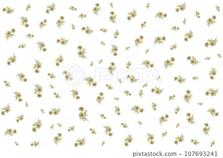 Illustration Pattern of the yellow flower with leaves on white background. Illustration Pattern of the yellow flower with leaves on white background. 107693241
