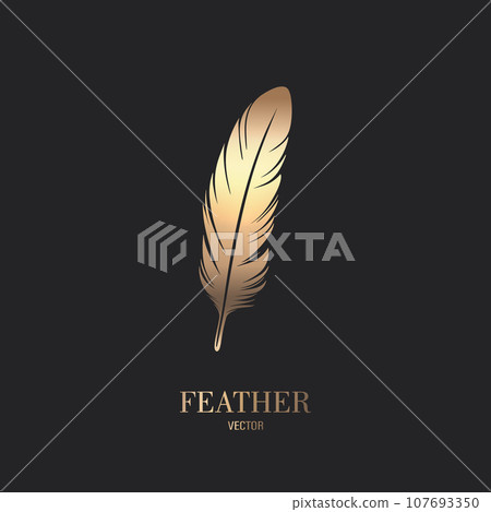 Vector Fluffy Golden Color Feather Logo Icon, Silhouette Feather Closeup Isolated. Design Template of Flamingo, Angel, Bird Feather. Lightness, Freedom Concept 107693350