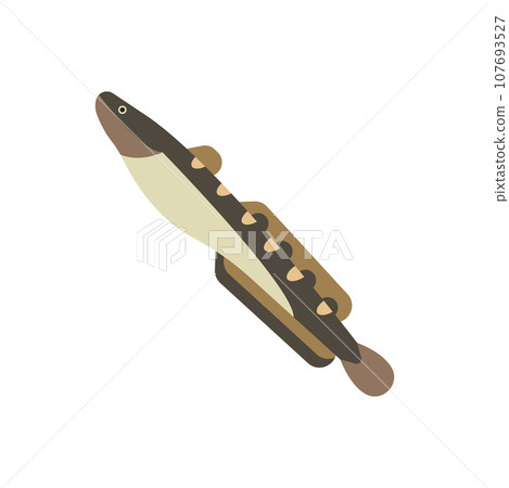 Burbot Illustration 107693527
