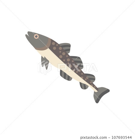 Cod Fish Illustration 107693544