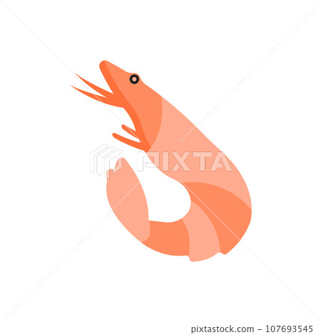 Shrimp Illustration Shrimp Illustration 107693545