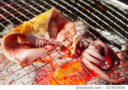 Dried overnight squid 107693606