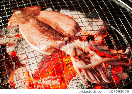 Dried overnight squid 107693609