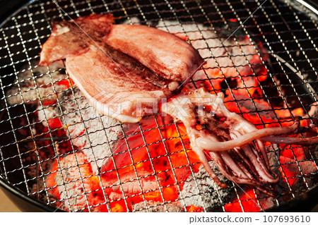 Dried overnight squid Dried overnight squid 107693610