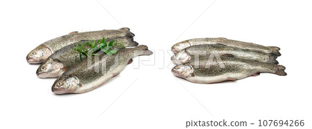 Raw Trout Isolated Raw Trout Isolated 107694266