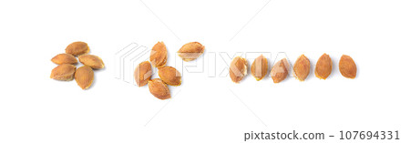 Plum Pits, Fruit Kernels Group, Plum Seeds Collection, Apricot Kernels, Plant Bones Plum Pits, Fruit Kernels Group, Plum Seeds Collection, Apricot Kernels, Plant Bones 107694331