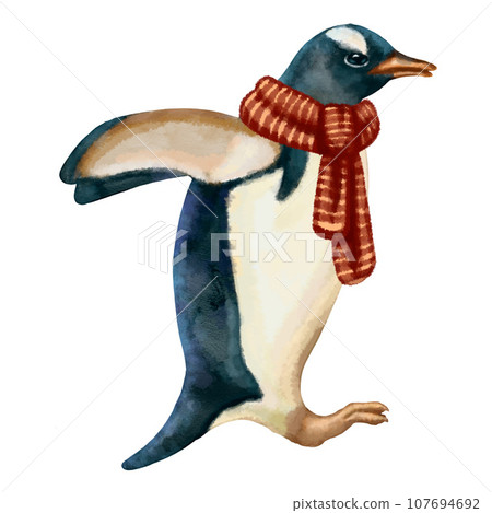 Illustration of south pole animals  107694692