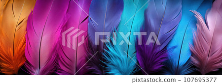 Vivid multi-colored feathers 107695377