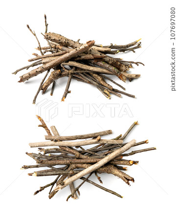 Branches Pile Isolated 107697080