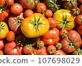 organic heirloom, tomatoes, as background 107698029