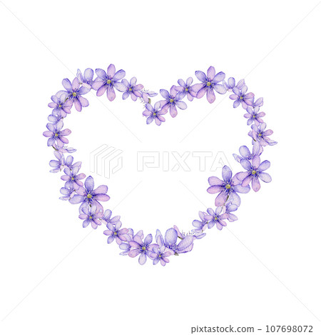 Watercolor heart with flowers isolated on white background. Scilla. Coppice, hepatica - first spring flowers. Illustration of delicate lilac flowers. Primroses, the anemones. forest flowers liverwort 107698072
