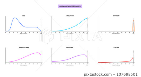 Hormones in pregnancy Hormones in pregnancy 107698501