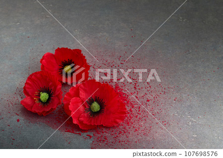 World War remembrance day. Red poppies on dark stone background. World War remembrance day. Red poppies on dark stone background. 107698576
