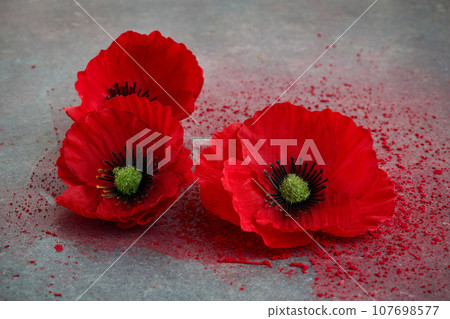 World War remembrance day. Red poppies on dark stone background. 107698577