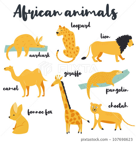 Big set of african animals on white background 107698623