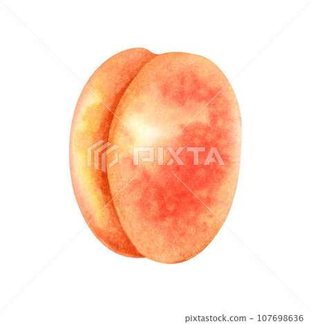 Watercolor bright orange apricot Watercolor bright orange apricot 107698636