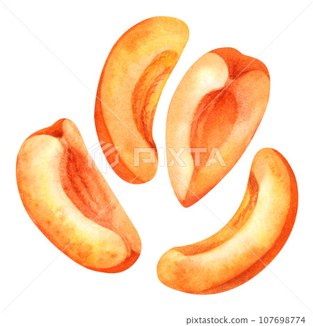 Watercolor slices of bright orange apricot Watercolor slices of bright orange apricot 107698774