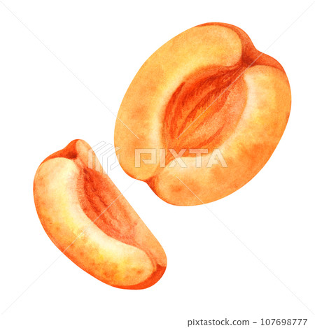 Watercolor part of a bright orange apricot with a slice. 107698777