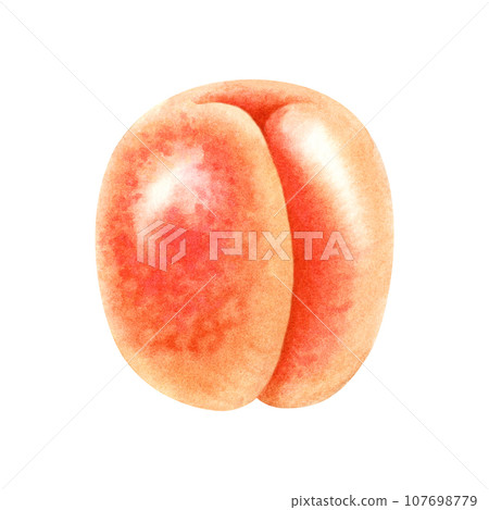 Watercolor bright orange apricot Watercolor bright orange apricot 107698779