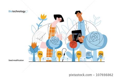 Bio Technology, Seed Modification -modern flat vector concept illustration of scientists analysing genetic modificated variants of a plant. Metaphor of direct impact of GMO on vegetation 107698862