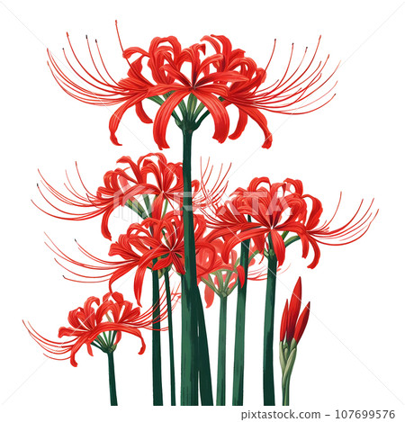 紅蜘蛛百合AI生成影像PNG 107699576