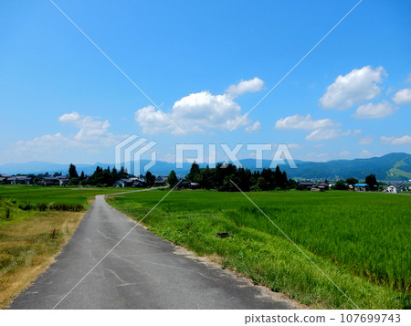 Summer scenery of Minamiuonuma Summer scenery of Minamiuonuma 107699743