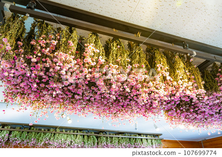 乾燥花掛在天花板上 乾燥花掛在天花板上 107699774