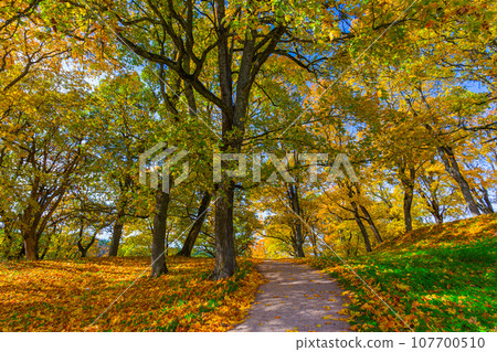 Dubingiai mound in Lithuania at autumn Dubingiai mound in Lithuania at autumn 107700510