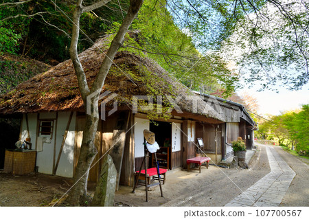 遠賀茶屋（野中一杉）[和歌山縣田邊市中邊町] 107700567