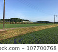 與稻田的風景 107700768