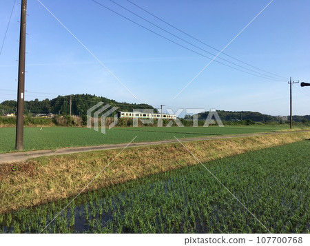 與稻田的風景 107700768