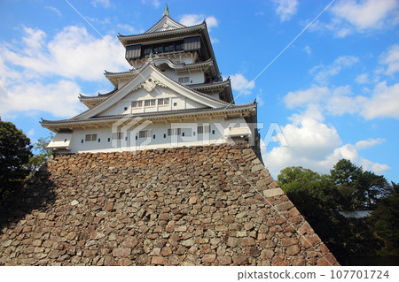 Ogura castle and blue sky Ogura castle and blue sky 107701724