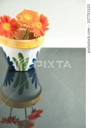 3 cut flowers gerberas 107701820