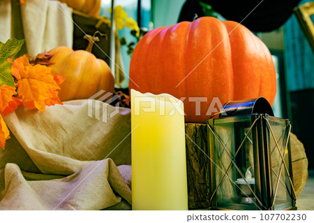 Halloween image 107702230