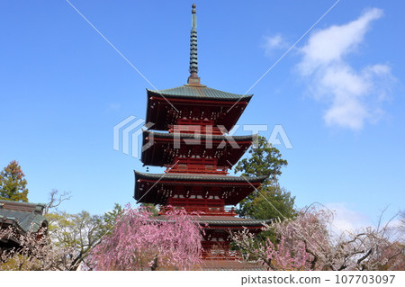 青森縣弘前市土屋町,以櫻花、金剛山最勝院五層塔、紅櫻花等櫻花聞名 青森縣弘前市土屋町,以櫻花、金剛山最勝院五層塔、紅櫻花等櫻花聞名 107703097