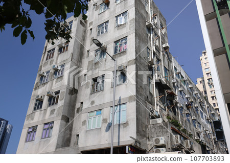 Sept 23 2023 Embracing Tranquility in the Heart of Long Ping, hk 107703893