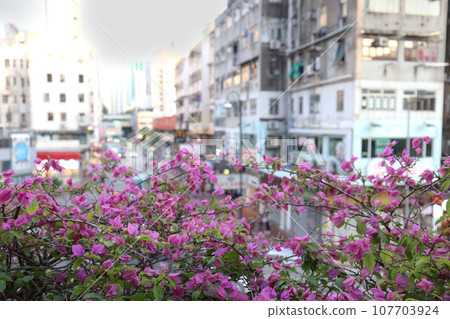 Sept 23 2023 Thriving Urban Hub in the Heart of Tsuen Wan, HK 107703924
