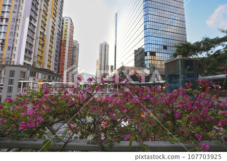 Sept 23 2023 Thriving Urban Hub in the Heart of Tsuen Wan, HK 107703925