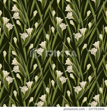 Watercolor gladioluses plant seamless pattern Hand drawn digital floral illustration of white flowers, buds and leaves. Isolated on dark background.Repeating design for print wallpaper, wrapping paper Watercolor gladioluses plant seamless pattern Hand drawn digital floral illustration of white flowers, buds and leaves. Isolated on dark background.Repeating design for print wallpaper, wrapping paper 107703994