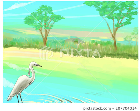 白鷺鷥和稻田 107704014