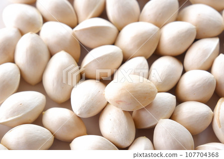 Ginkgo nuts are a taste of autumn Ginkgo nuts are a taste of autumn 107704368