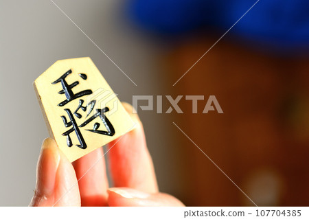 手裡拿著國王的棋子 手裡拿著國王的棋子 107704385