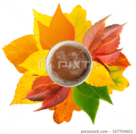 Autumn Coffee Cup Isolated, Coffee Mug on Yellow Autumn Tree Leaves, Hot Drink in Golden Foliage 107704601