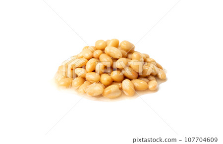 White Kidney Beans Isolated 107704609