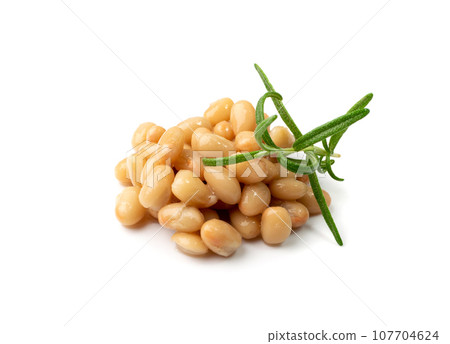 White Kidney Beans Isolated White Kidney Beans Isolated 107704624